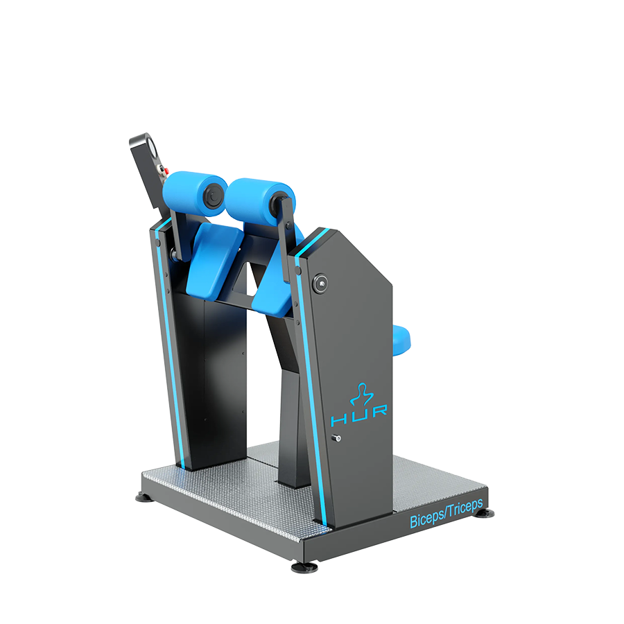 biceps triceps