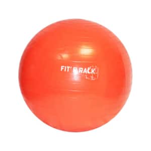 gym ball fit and rack athlex