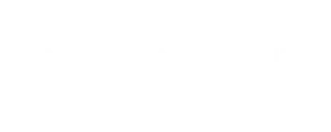 Noraxon Logo Blanc